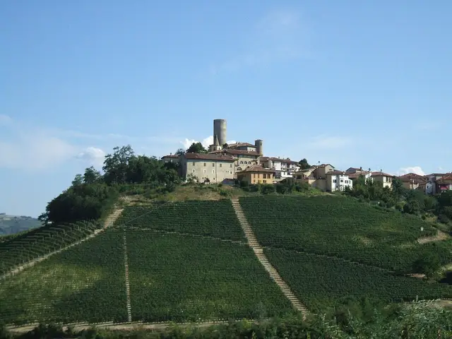 Il paese: Castiglione Falletto