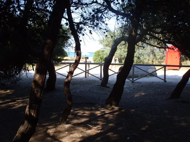Il paese: Porto Sant'Elpidio