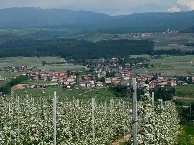 Il paese: Predaia