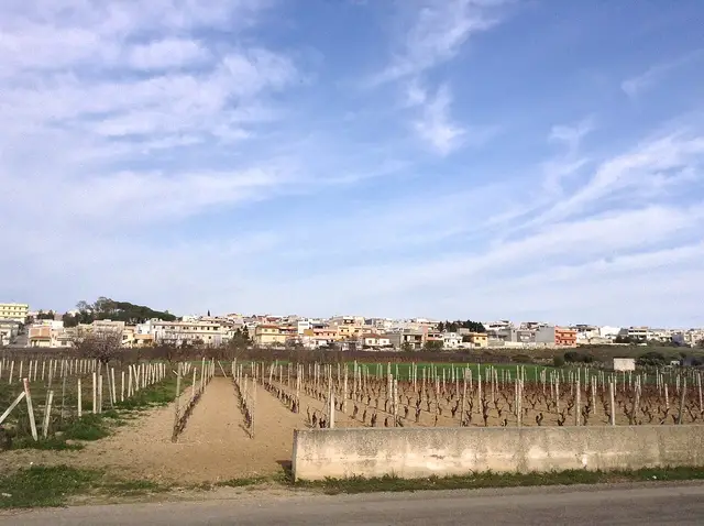 Il paese: San Marzano di San Giuseppe