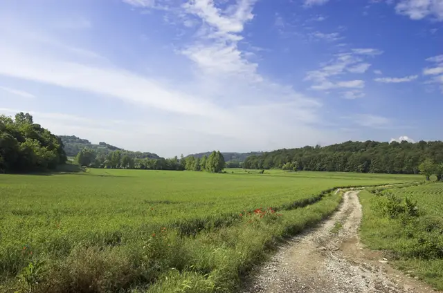 Il paese: Sommacampagna