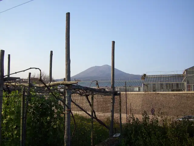 Il paese: Trecase